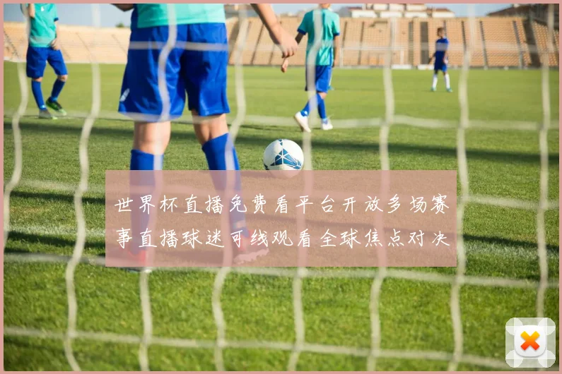 世界杯直播免费看平台开放多场赛事直播球迷可线观看全球焦点对决