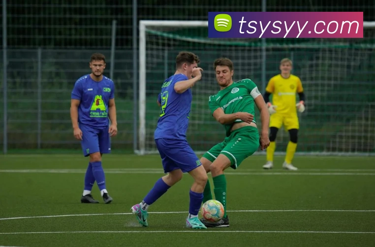 世界杯app官网平台生态图